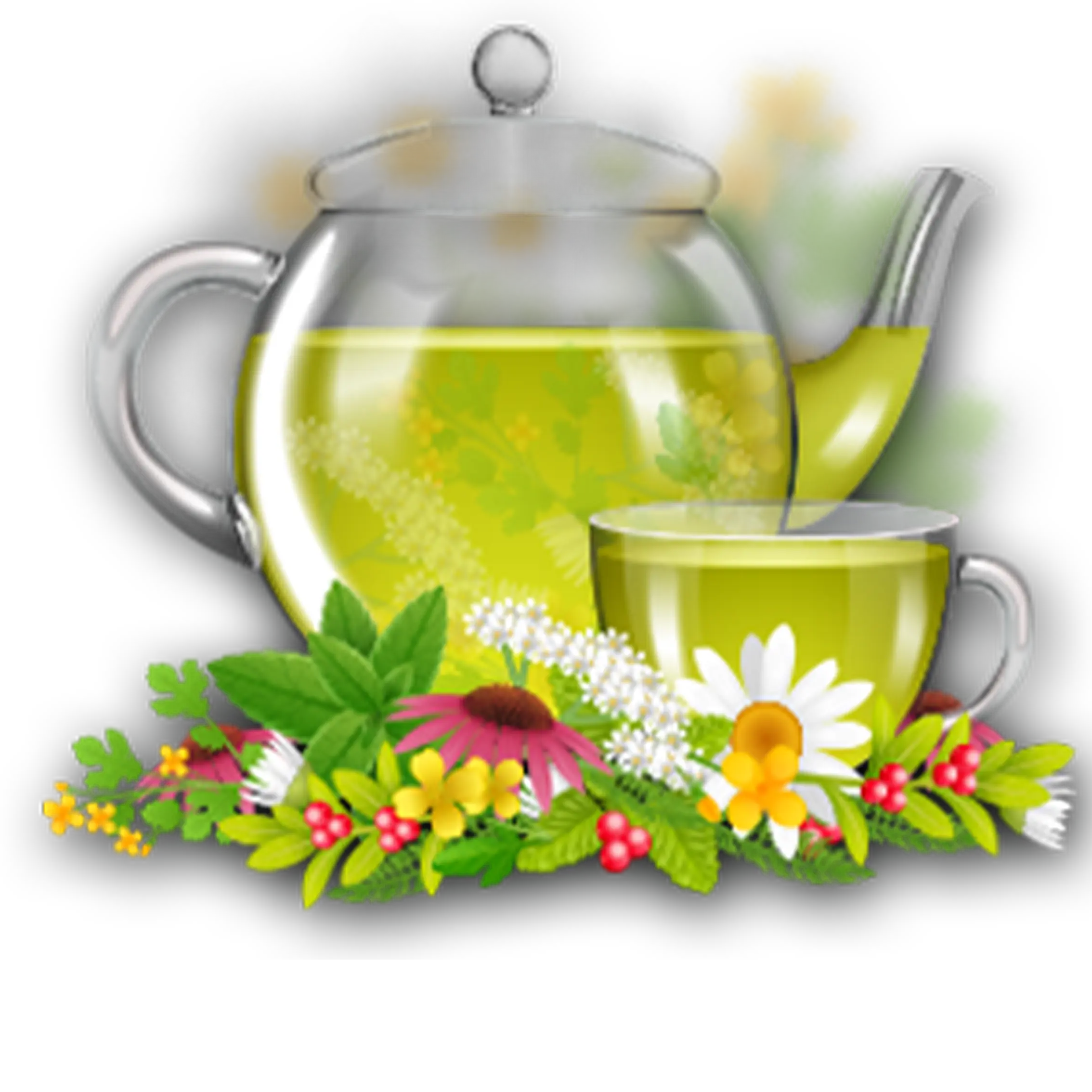 دمنوش و گیاهان دارویی